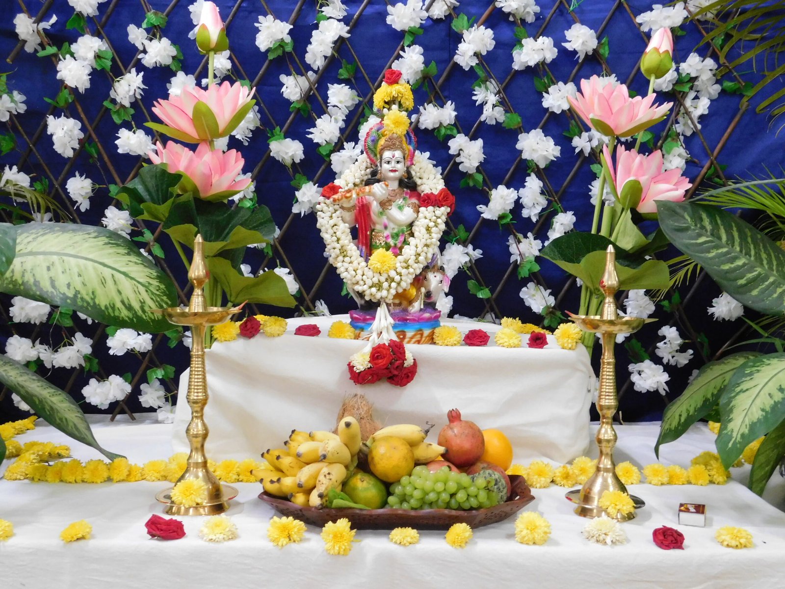 Krishna Janmashtami Celebration – Appollo National Public School